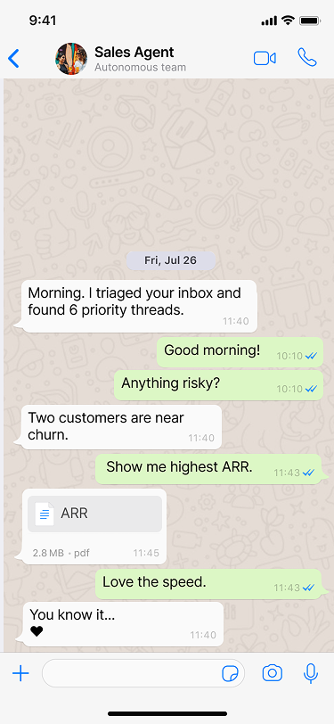 WhatsApp chat screen